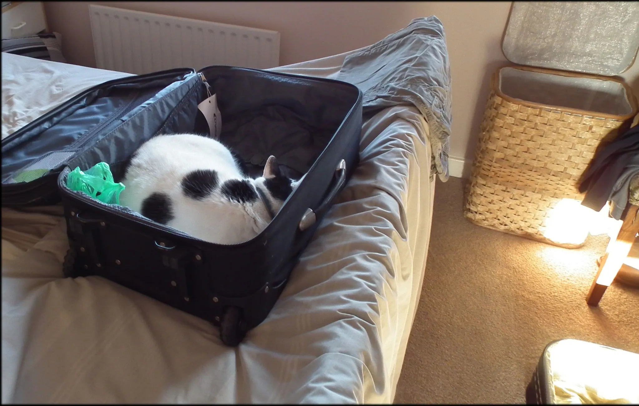 A dont leave without me says marshall